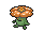 Rafflesia 